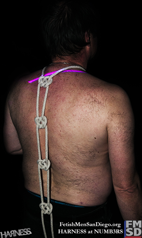 FMSD - HARNESS - DSC_0246.jpg